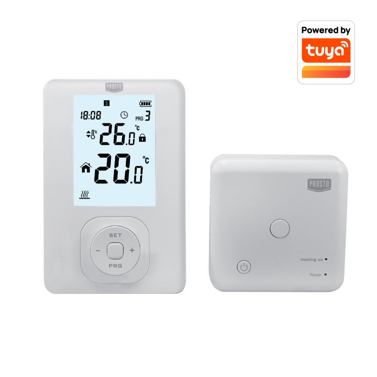 TERMOSTAT DST304RF/WF - 
