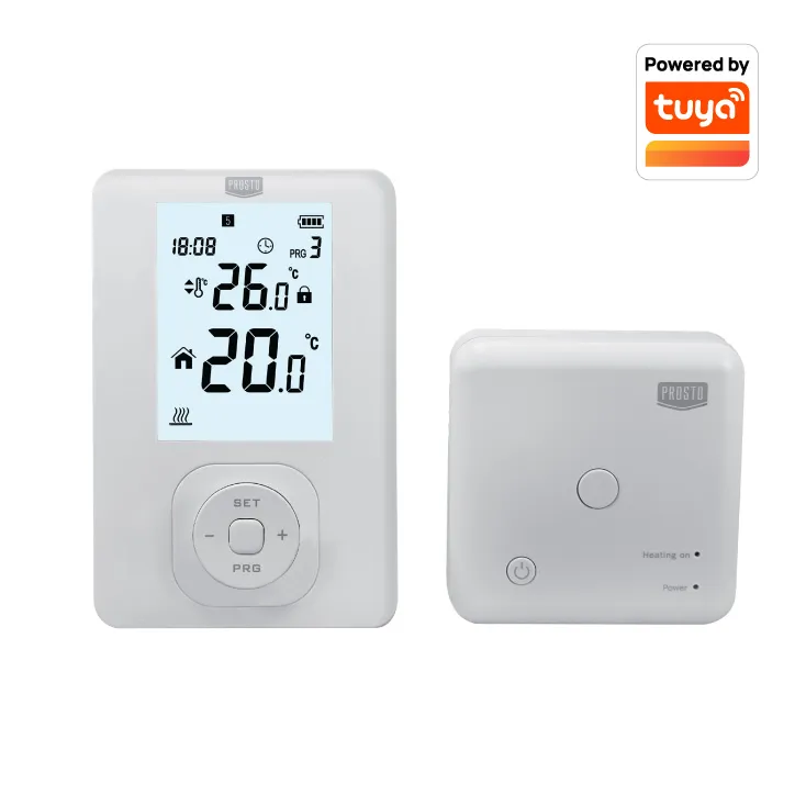TERMOSTAT DST304RF/WF - 